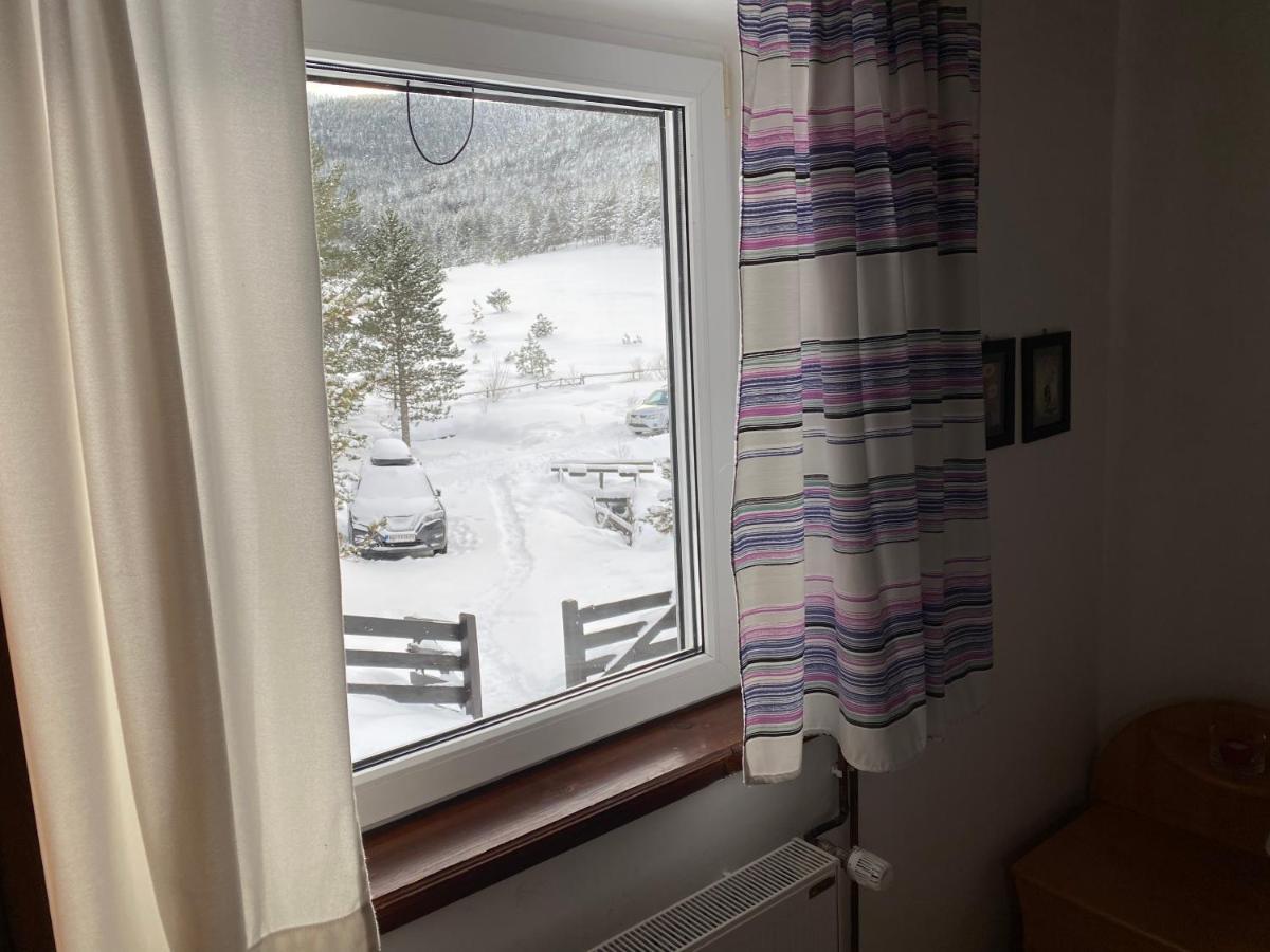 Vila Jela Tornik Zlatibor Kültér fotó