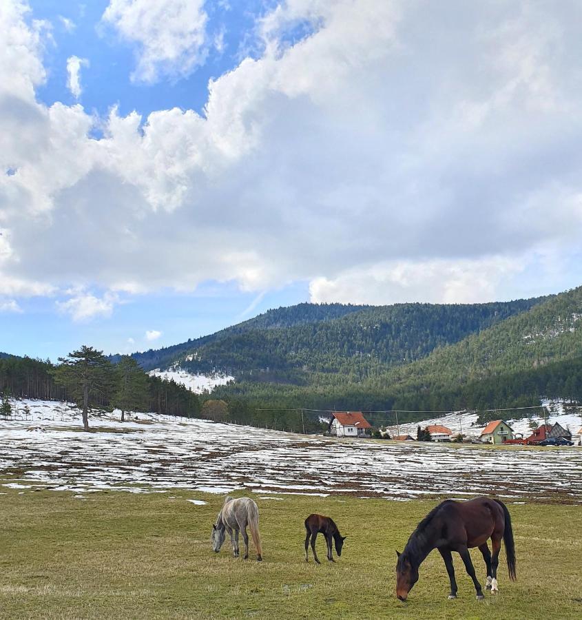 Vila Jela Tornik Zlatibor Kültér fotó