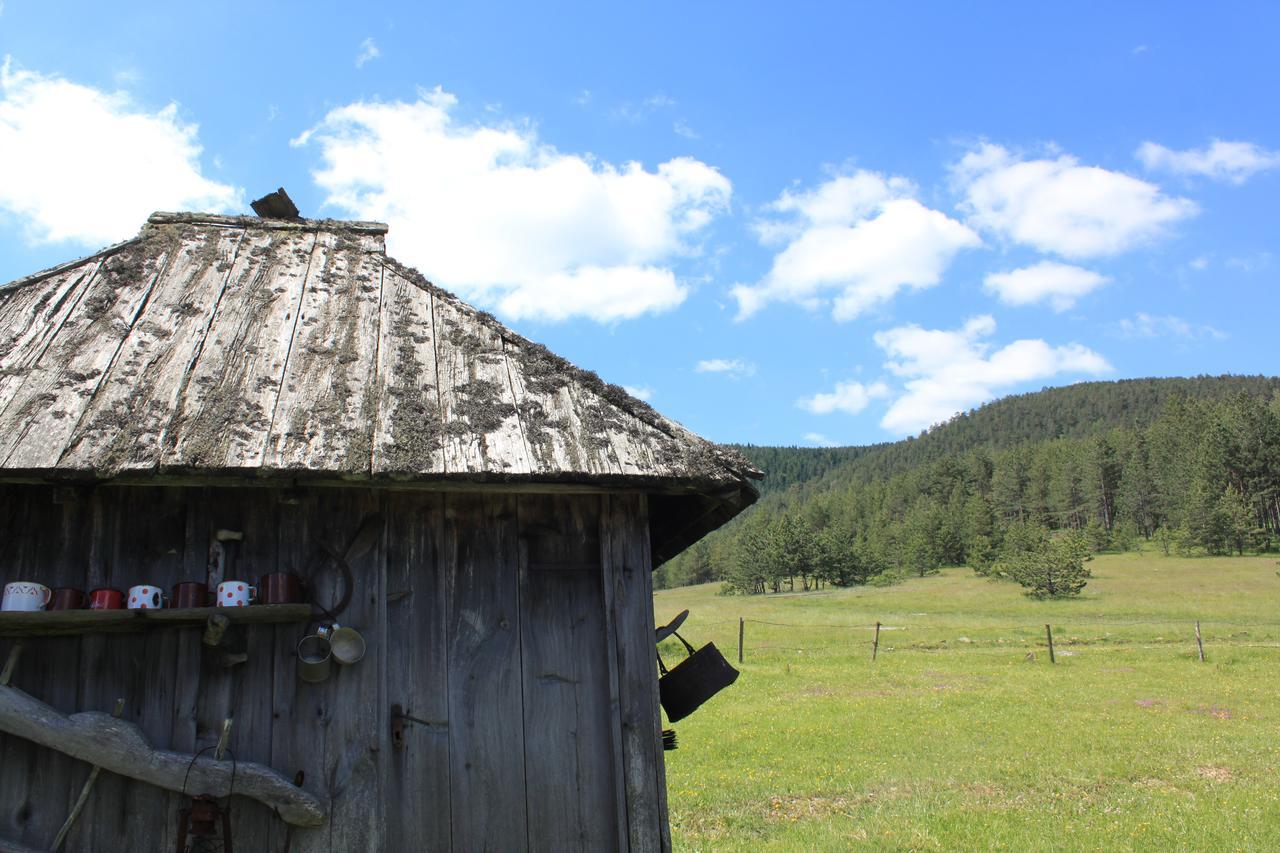 Vila Jela Tornik Zlatibor Kültér fotó