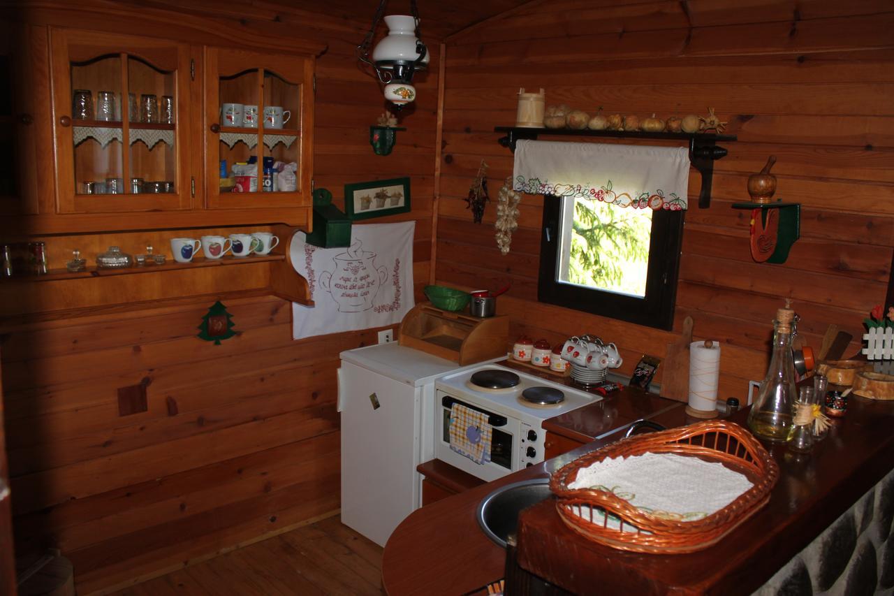 Vila Jela Tornik Zlatibor Kültér fotó