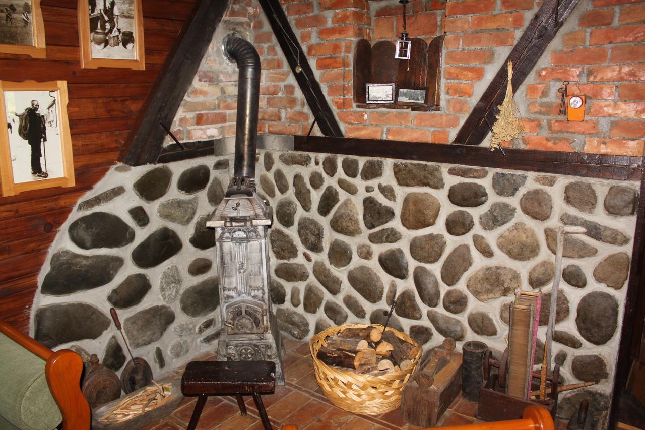 Vila Jela Tornik Zlatibor Kültér fotó