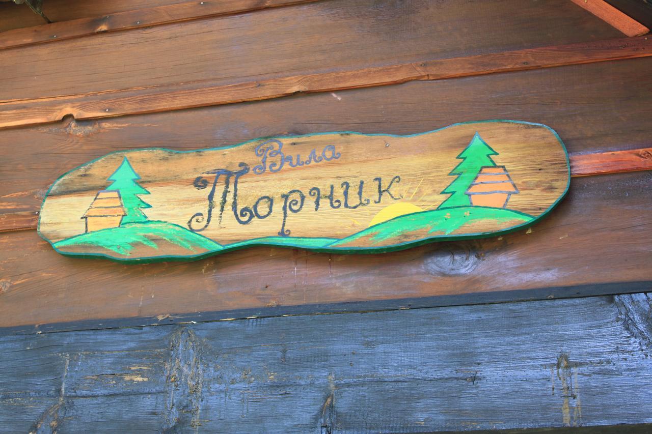 Vila Jela Tornik Zlatibor Kültér fotó