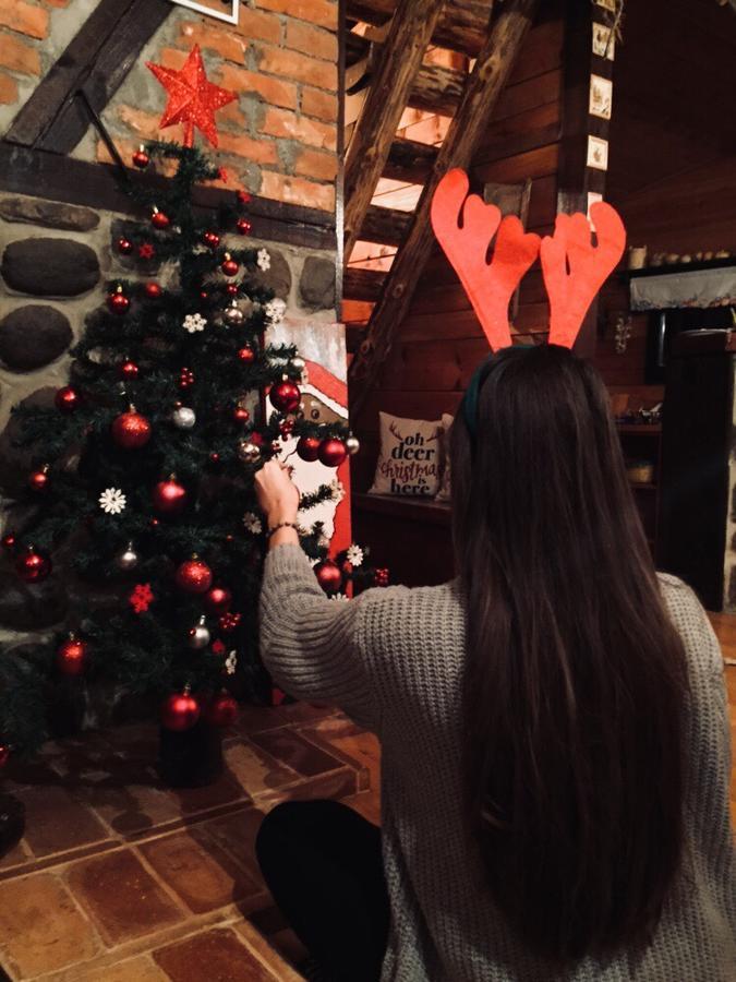 Vila Jela Tornik Zlatibor Kültér fotó